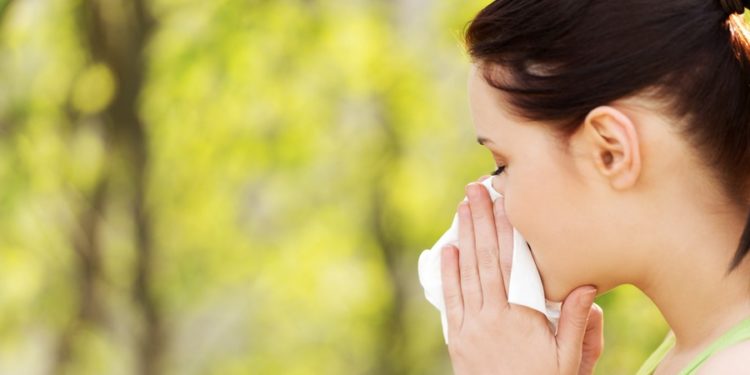 Comment soigner une allergie au chat naturellement ?