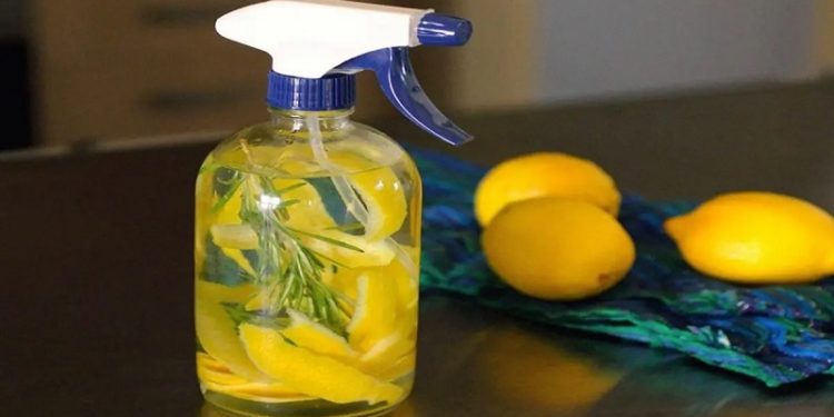 Est-il bon de prendre du citron tous les jours ?