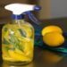 Est-il bon de prendre du citron tous les jours ?