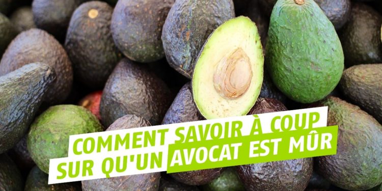 Est-il dangereux de manger un avocat pas Mur ?