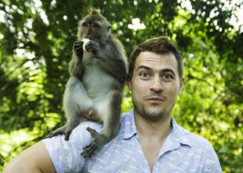 Est-il possible d'avoir un singe ?