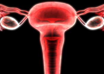 Quand l'ovulation se Produit-elle ?