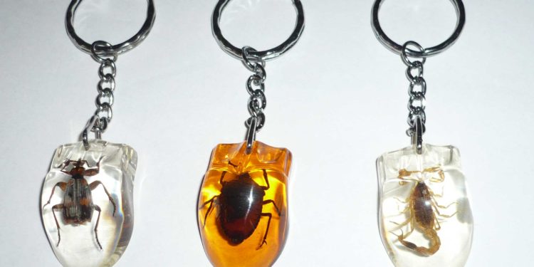 Est-ce que le scarabée Porte-bonheur ?