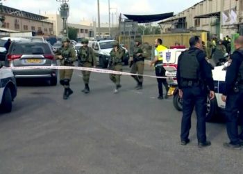 Où déposer un oiseau blessé Charleroi ?