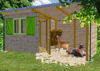 Comment faire un enclos pour chèvre naine ?