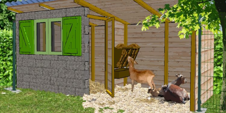 Comment faire un enclos pour chèvre naine ?