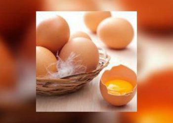 C'est quoi mirer un oeuf ?