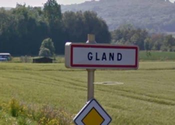 Comment Appelle-t-on le médecin des animaux ?