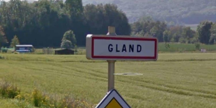 Comment Appelle-t-on le médecin des animaux ?