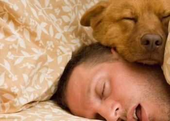 Quand les poussins peuvent dormir dehors ?