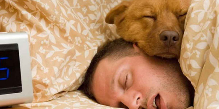 Quand les poussins peuvent dormir dehors ?