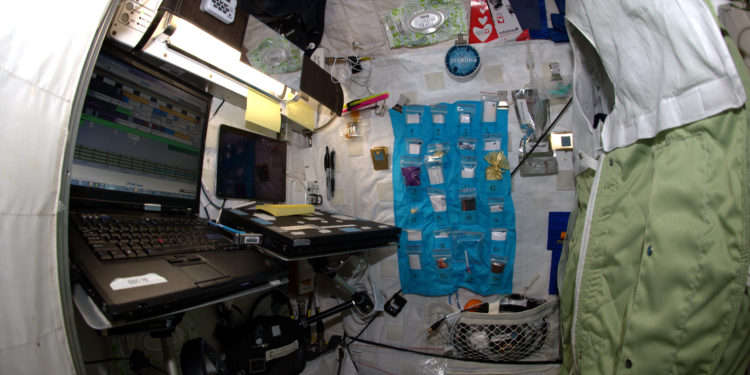 Où dorment les colibri ?