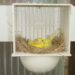 Comment faire un nid pour des Canaris ?