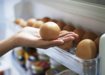 Comment reconnaître un œuf de serpent ?