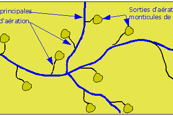 Comment trouver la galerie principale d'une taupe ?