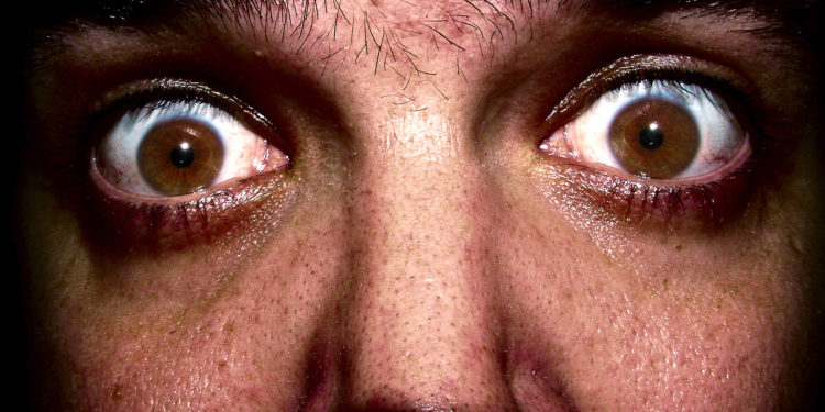 Est-ce qu'un chien peut mourir de peur ?