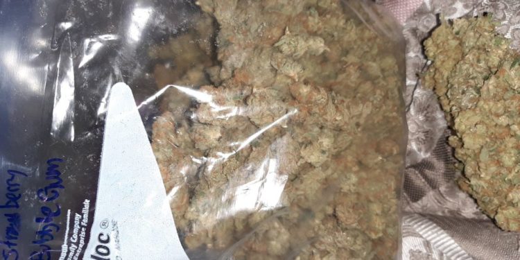 Quel animal vit seulement à Madagascar en 5 lettres ?