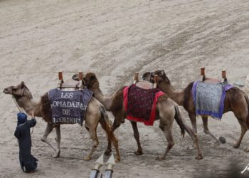 Quel pays commence par la lettre Q ?