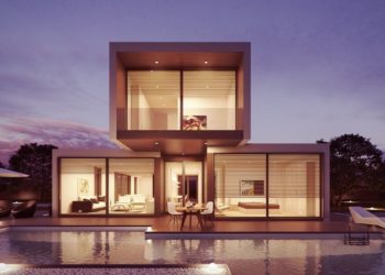 Quelles sont les caractéristiques d'une grenouille ?