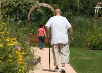 Où vivent les castors en France ?