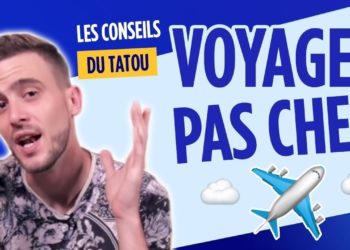 Comment décrire le tatou ?