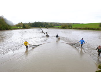 Où il y a les poissons ?