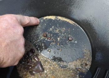 Où Peut-on trouver des corbeaux en France ?