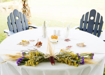 Comment dresser une chèvre ?