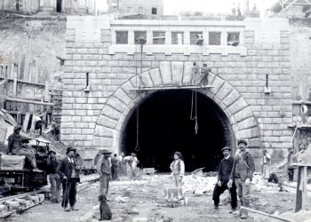 Pourquoi les chats gris Metabief ?