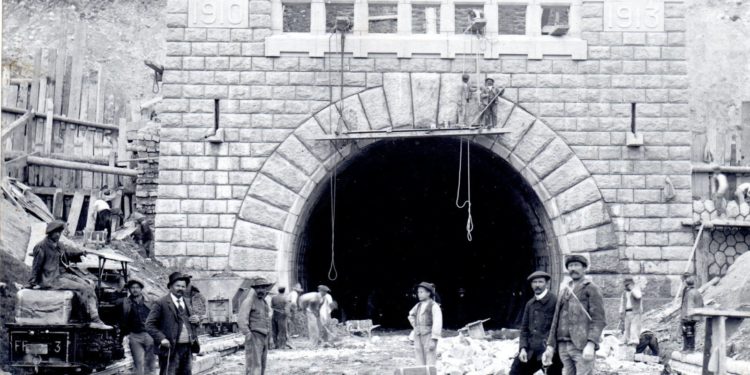 Pourquoi les chats gris Metabief ?