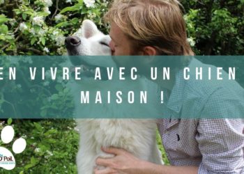 Comment vivre avec un chien dans la maison ?