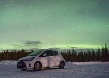 Comment protéger un chat qui dort dehors ?