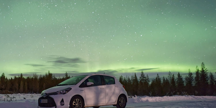 Comment protéger un chat qui dort dehors ?