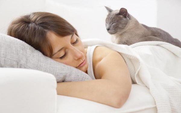 Pourquoi mon chat me fixe quand je dors ?