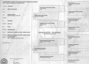 Comment faire passer le LOF à un chien ?