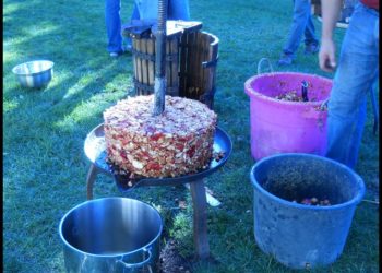 Est-ce que le jus de pomme fait aller au toilette ?