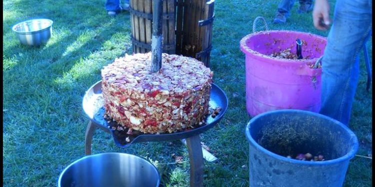 Est-ce que le jus de pomme fait aller au toilette ?