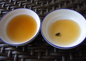 Comment chasser les mouches avec du vinaigre ?