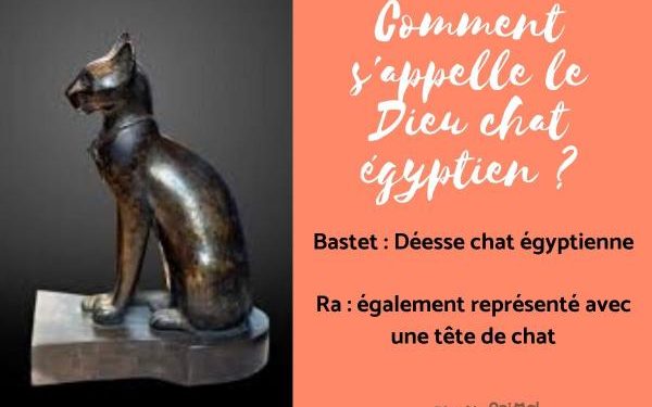 Quel est le dieu des chats ?
