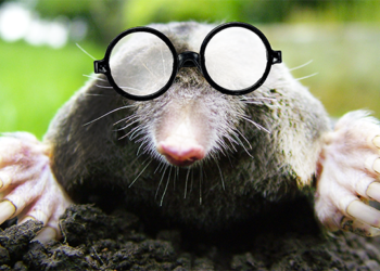 Pourquoi la taupe est myope ?