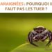 Est-ce que les araignées faucheuses piquent ?