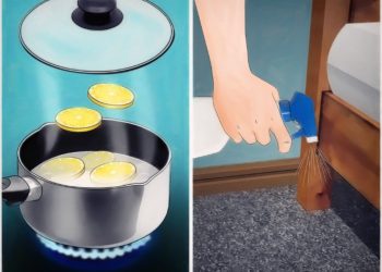 Comment se débarrasser des chats des voisins ?