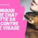 Pourquoi mon chat appuie sa tête contre moi ?