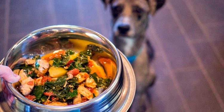 Est-ce que le sucre est bon pour les chiens ?