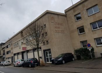 Pourquoi le Dalmatien est l'emblème des pompiers ?