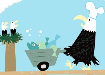 Quand les chatons quittent le nid ?