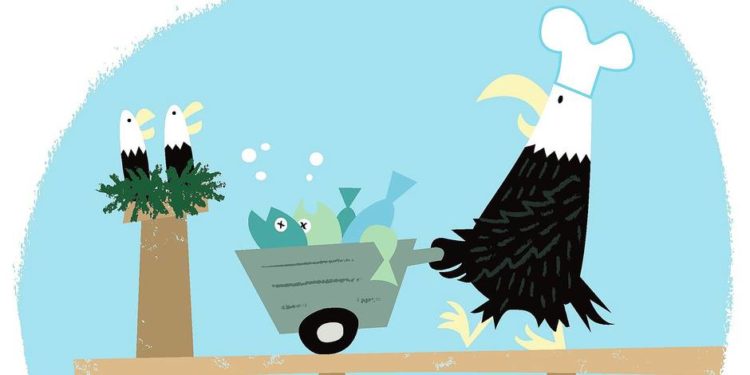 Quand les chatons quittent le nid ?