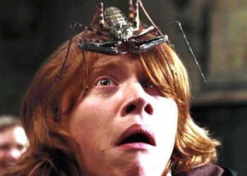 Pourquoi les gens ont peur des bananes ?