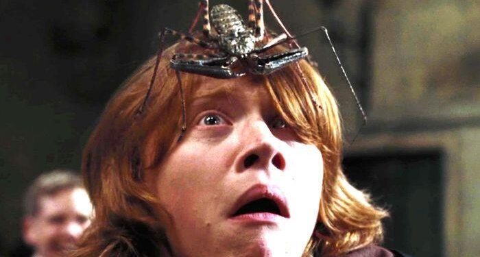 Pourquoi les gens ont peur des bananes ?