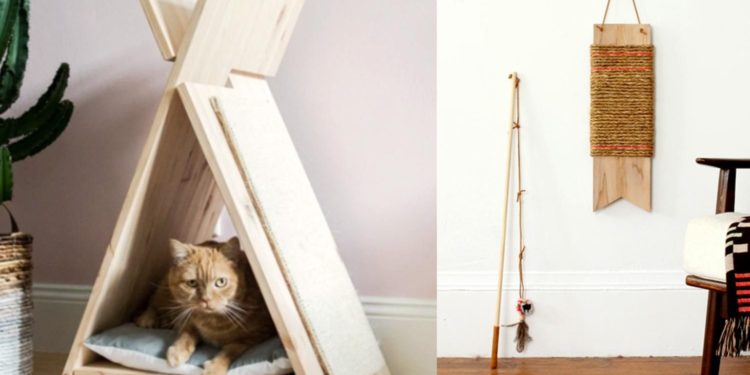 Comment faire pour Deconstiper un chat ?